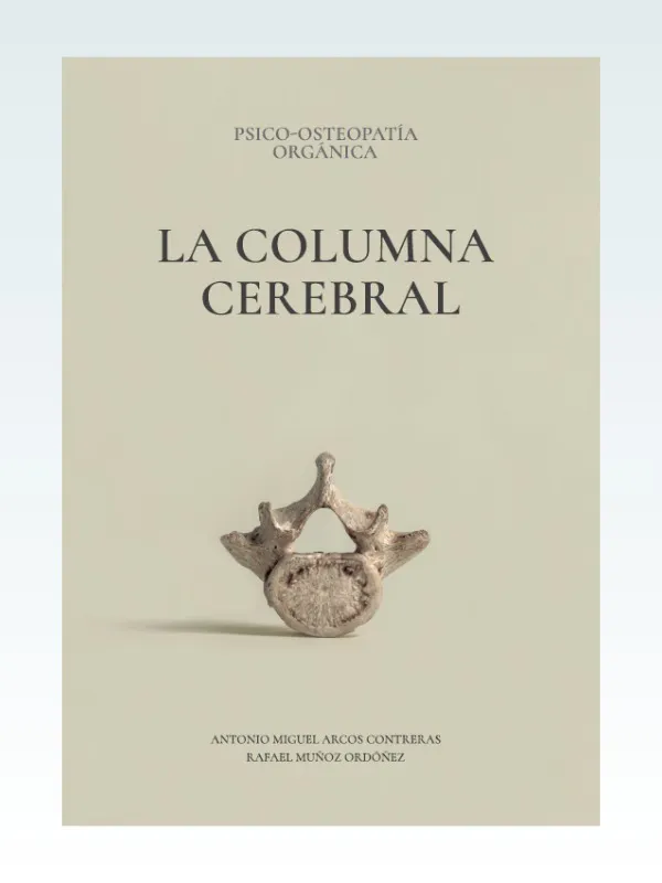 La Columna Cerebral